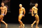 013-nzifbb100772.JPG