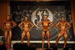013-WFFpanpac0137.JPG