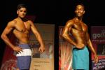 13-GoFigureShow0446.JPG