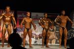 13-GoFigureShow0563.JPG