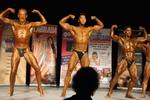 13-GoFigureShow0568.JPG