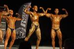 13-GoFigureShow0569.JPG