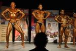 13-GoFigureShow0570.JPG