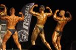 13-GoFigureShow0586.JPG