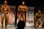 13-GoFigureShow0593.JPG