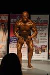13-GoFigureShow1036.JPG