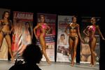 13-GoFigureShow0329.JPG