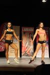 13-GoFigureShow0556.JPG
