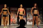 13-GoFigureShow0558.JPG