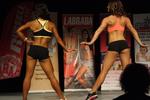 13-GoFigureShow0561.JPG