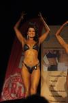 13-GoFigureShow0777.JPG