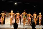 13-GoFigureShow0954.JPG