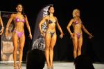 13-GoFigureShow0956.JPG