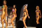 13-GoFigureShow0964.JPG