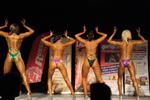 13-GoFigureShow0998.JPG