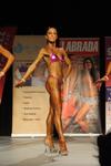 13-GoFigureShow0851.JPG