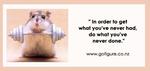 08-Motivation19