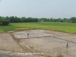 07-vietnamricefield