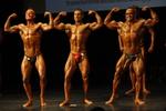 13-WFF-Nats0354.JPG