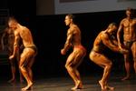 13-WFF-Nats0356.JPG